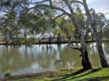 Aysons Reserve Camping Area - Burnewang: Imagine yourself relaxing beside this beautiful river.