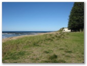 Coledale Beach Camping Reserve - Coledale: Area for tents and camping
