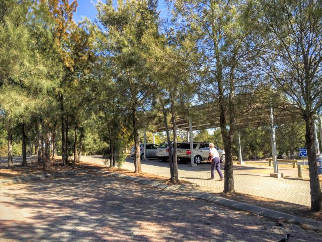 Mundoonen Rest Area - Jerrawa: Nice trees and bushland adjacent to the rest area.