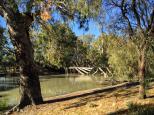 Conargo North Swimming Hole - Conargo: Lovely view of the quiet waters of Billabong Creek. 