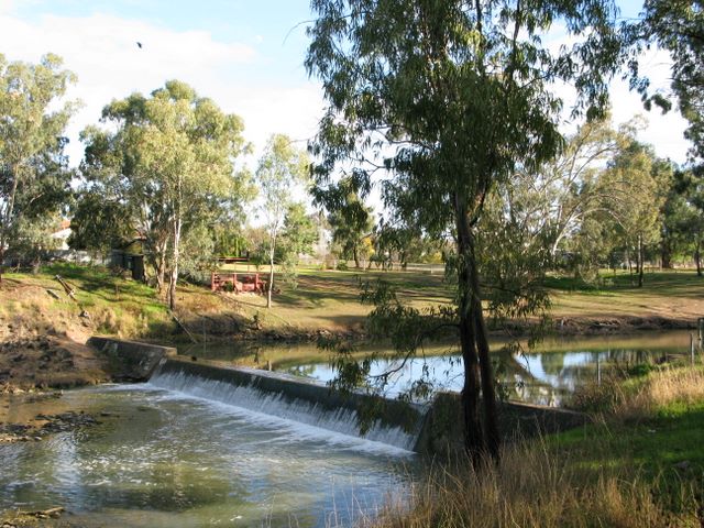 Riverview Caravan Park - Condobolin: Condobolin Weir is directly behind the park