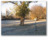 Cunningham Caravan Park - Coolah: Powered sites for caravans with early morning frost