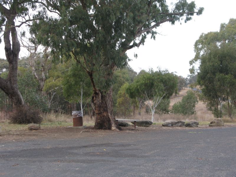 The Black Stump Rest Area - Coolah: Quiet area for parking - could be a few flies if the bin is full.