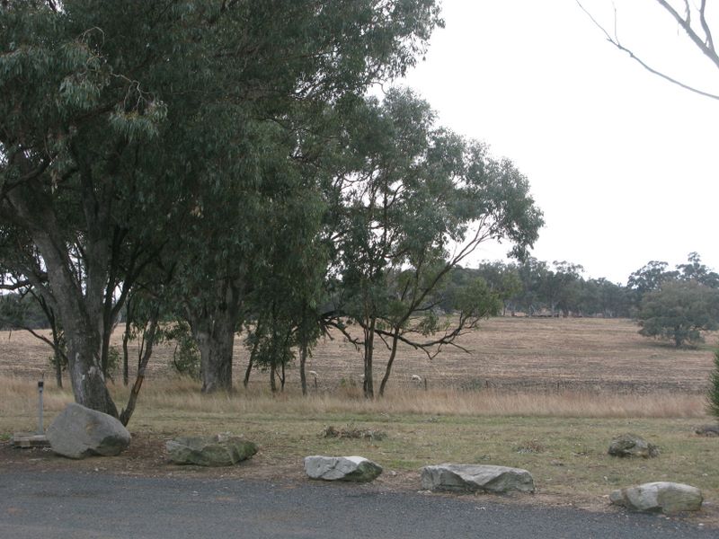 The Black Stump Rest Area - Coolah: Rocks prevent driving on to the grass.  Open fields beyond the rest area.