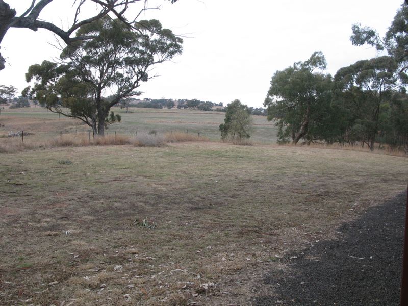 The Black Stump Rest Area - Coolah: Good grass area for tents and camping