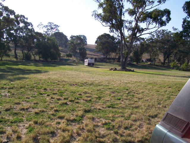 Glenron - Coolah: Camping area for tents and caravans