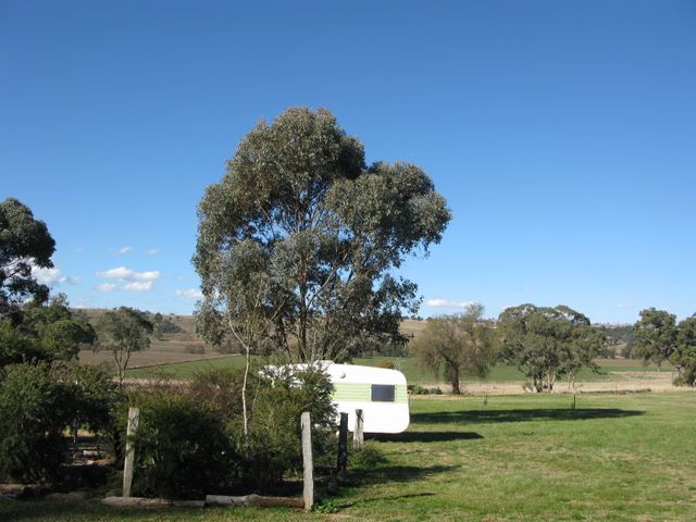 Glenron - Coolah: Lots of open space