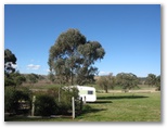 Glenron - Coolah: Lots of open space