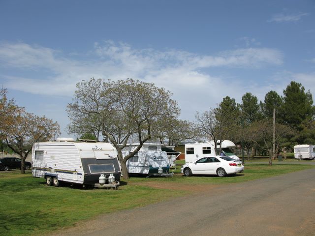 Coolamon Caravan Park - Coolamon: Powered sites for caravans