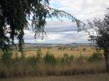 Warialda West Rest Area - Coolatai: View from the rest area. 