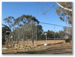 Cooma Tourist Park - Cooma: Tennis court