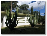 Getaway Tourist Park - Coonabarabran: Impressive cactus plants outside amenities.