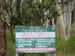 Gowan North Rest Area - Coonabarabran: Pilliga Nature Reserve is adjacent to the rest area.