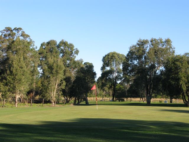 Coraki Golf Course - Coraki: Green on Hole 2