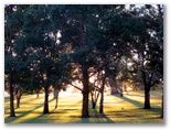 Coraki Golf Course - Coraki: Late afternoon sunshine Coraki Golf course