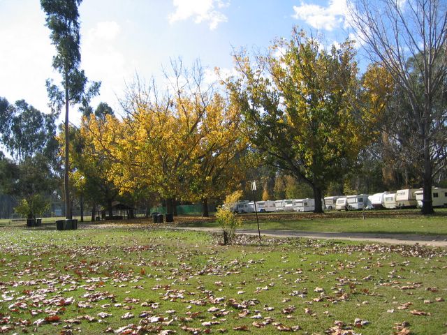 Ball Park Caravan Park - Corowa: Area for tents and camping