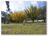 Ball Park Caravan Park - Corowa: Area for tents and camping