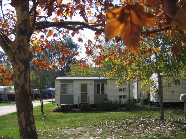 Bindaree Motel & Caravan Park - Corowa: Cottage accommodation, ideal for families, couples and singles