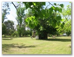 Mt Mittamatite Caravan Park - Corryong: Area for tents and camping