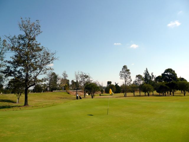 Orara Park Golf Course - Coutts Crossing: Green on Hole 6