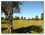 Orara Park Golf Course - Coutts Crossing: Approach to the Green on Hole 8