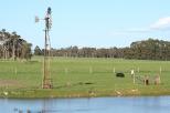 Taunton Farm Holiday Park - Cowaramup: View from the park.