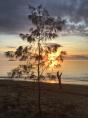 Cowley Beach Caravan Park - Cowley Beach: Things to do
 
You could easily spend your whole Tropical North Queensland break flopped on one of the gorgeous beaches. But you won’t want to miss out on all the incredible things there are to do right across the region.