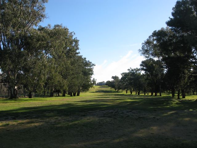 Cowra Golf Club - Cowra: Fairway view on Hole 4