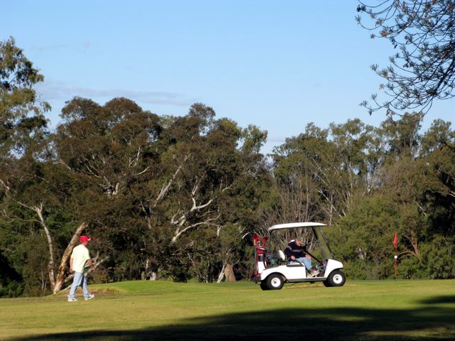 Cowra Golf Club - Cowra: Cowra is a charming course.
