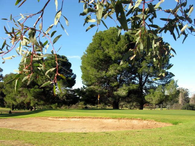 Cowra Golf Club - Cowra: Green on Hole 5 with sand trap in foreground.