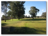 Cowra Golf Club - Cowra: Fairway view on Hole 7