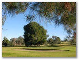 Cowra Golf Club - Cowra: Green on Hole 8 looking back along the fairway.