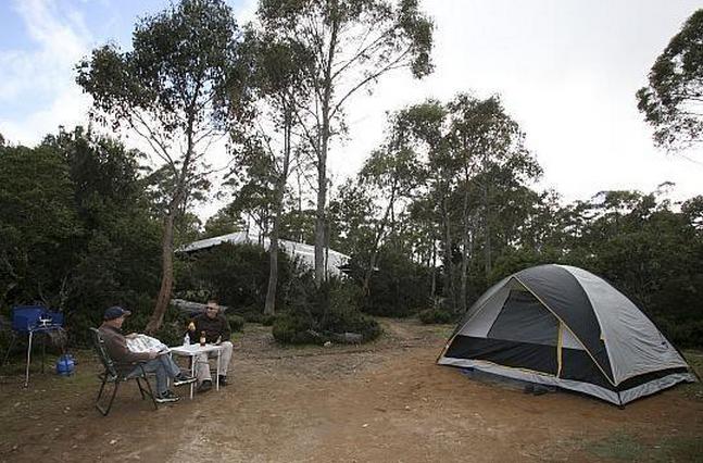 Discovery Holiday Parks - Cradle Mountain - Cradle Mountain: Area for tents and camping