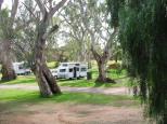 Crystal Brook Caravan Park - Crystal Brook - Crystal Brook: Beautifully uiet park amoung the trees