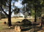 Gilgandra Rest Area - Gilgandra: Rocks prevent vehicular access to grass.