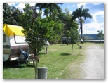 Daintree Riverview Caravan Park - Daintree Village: Powered sites for caravans