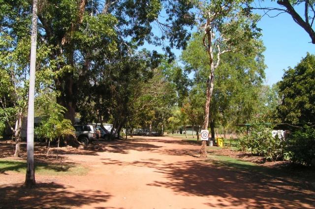 Douglas Daly Tourist Park - Daly: Driveway within the park runs paralel with the river for aprox 2k  sites are located  on both sides and are well shaded.