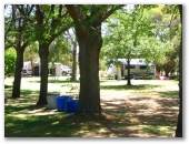 Fort Courage Caravan Park - Wentworth: Shady powered sites for caravans 