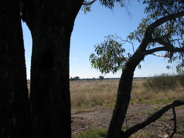 Daroobalgie Rest Area - Daroobalgie: Relaxing countryside.