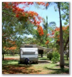 Darwin FreeSpirit Resort - Darwin Holtze: Shady powered sites for caravans