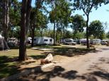 BIG4 Howard Springs Holiday Park - Darwin Howard Springs: good trees