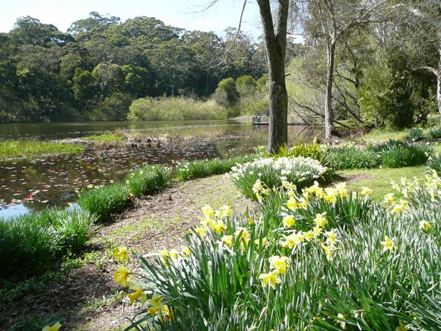 Jubilee Lake Holiday Park - Daylesford: Magnificent gardens beside the lake