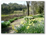 Jubilee Lake Holiday Park - Daylesford: Magnificent gardens beside the lake
