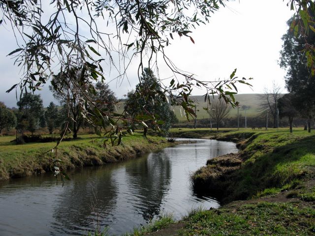 Bill Jeffreys Memorial Caravan Park - Delegate: Another view of the river which is excellent for fishing