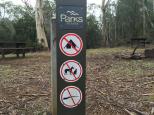 Delegate River Campground - Bendoc:  This sign indicates the things that are prohibited within the picnic area. 