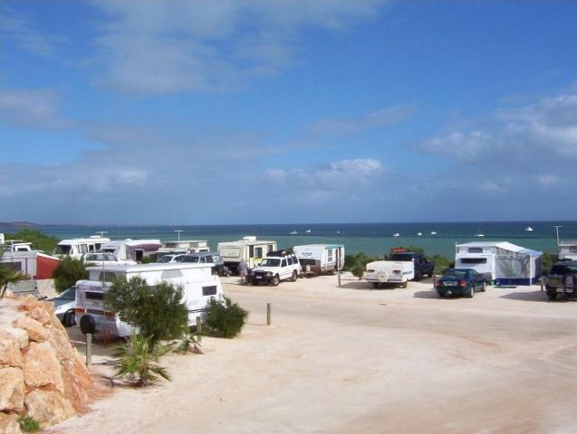 Nanga Bay Resort - Denham: Top Level sites subject to strong winds but what a view this park really has a special appeal so book in advance right on the beach front near the roundabout all facilities available in town.