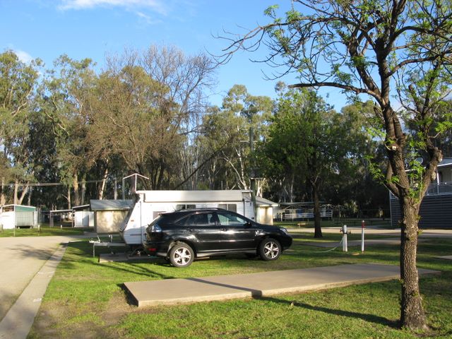 McLean Beach Caravan Park - Deniliquin: Powered sites for caravans