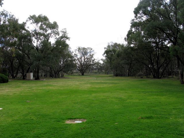 Pioneer Tourist Park - Deniliquin: Area for tents and camping