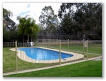 Pioneer Tourist Park - Deniliquin: Swimming pool