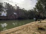 Twin Rivers Campground - Deniliquin: The river is quiet and peaceful but can be deceptive so take care if you decide to go in for a swim.
